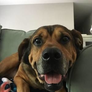 Meet your Posher, Cameron